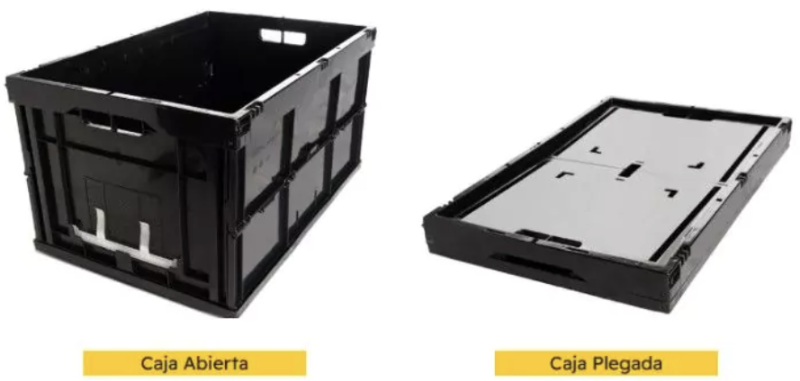 Contenedor plegable serie Nettuno 6423B  06